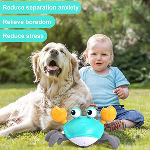 Foto 3 pulgar | Juguete Para Perros Mity Rain Crab, Cangrejo Que Escapa Con Obstáculos - Venta Internacional.