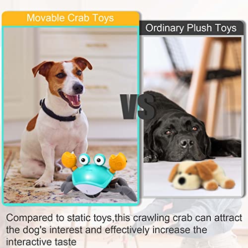 Foto 4 pulgar | Juguete Para Perros Mity Rain Crab, Cangrejo Que Escapa Con Obstáculos - Venta Internacional.