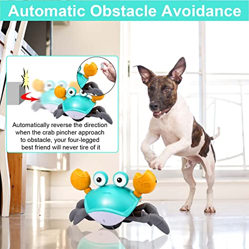 Foto 5 pulgar | Juguete Para Perros Mity Rain Crab, Cangrejo Que Escapa Con Obstáculos - Venta Internacional.