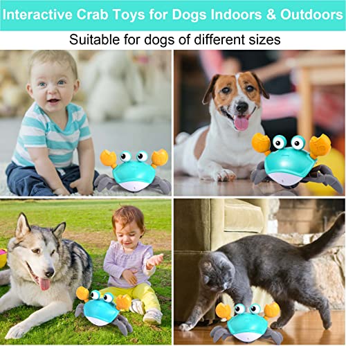Foto 7 pulgar | Juguete Para Perros Mity Rain Crab, Cangrejo Que Escapa Con Obstáculos - Venta Internacional.