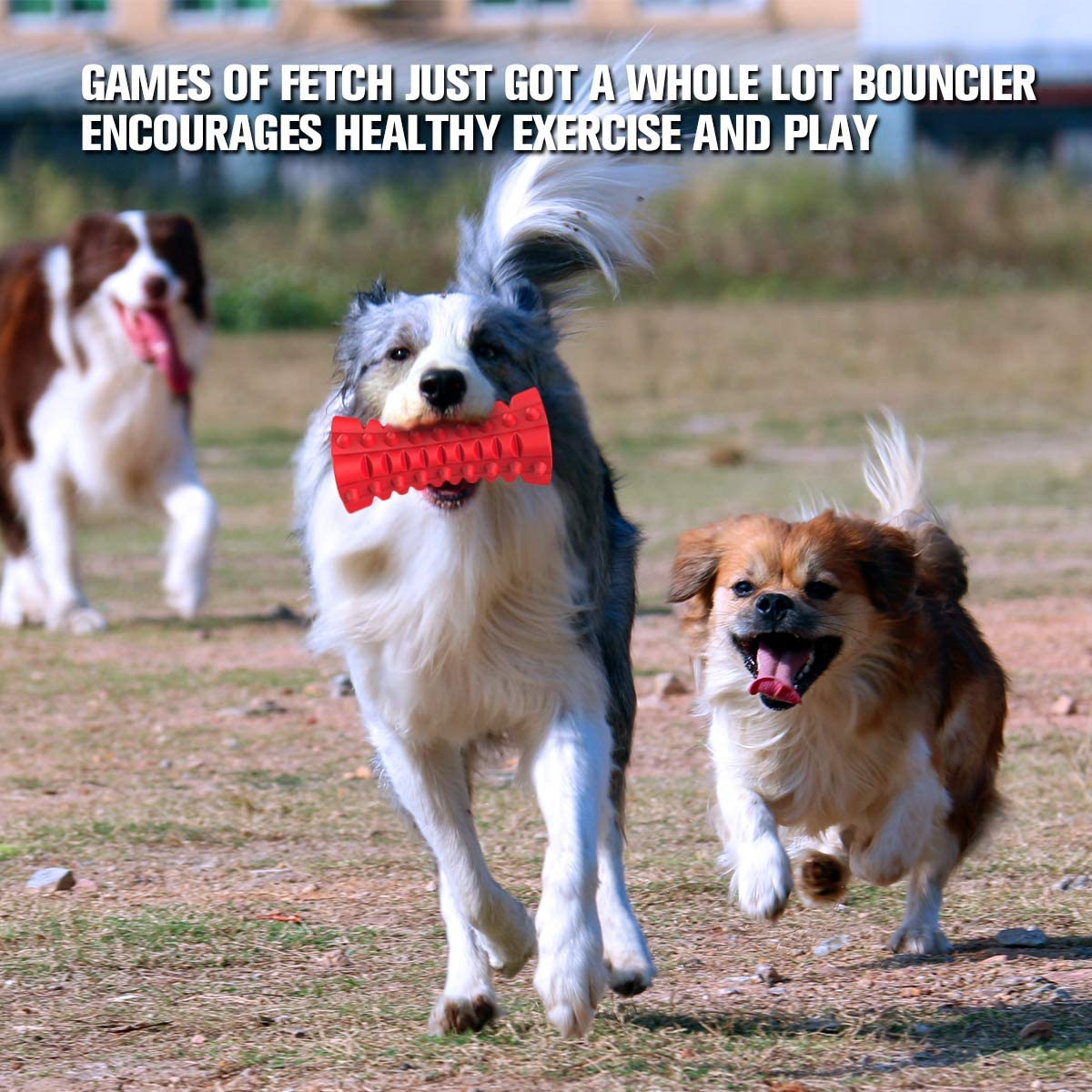 Foto 3 pulgar | Dog Squeaky Toy Jieyou Casi Indestructible Para Perros Grandes - Venta Internacional.
