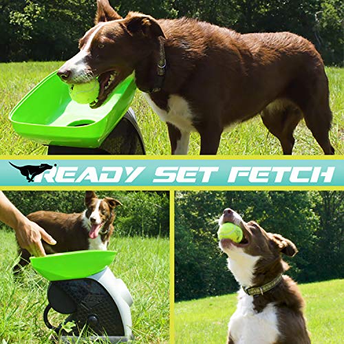 Foto 2 | Lanzador Automático Franklin Pet Fetch Ball - Venta Internacional.