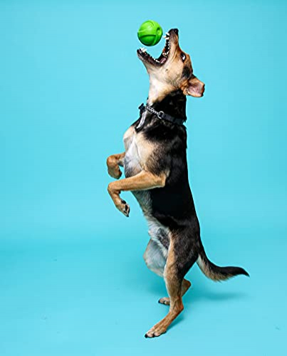 Foto 4 pulgar | Juguete De Látex Hartz Duraplay Ball Squeaky Para Perros, Ta - Venta Internacional.