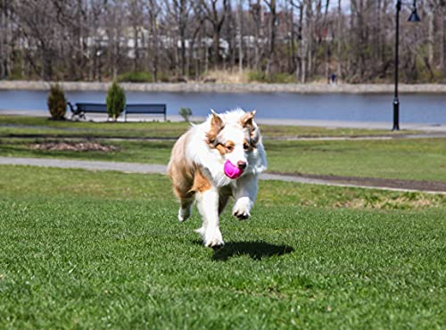 Foto 7 pulgar | Juguete De Látex Hartz Duraplay Ball Squeaky Para Perros, Ta - Venta Internacional.