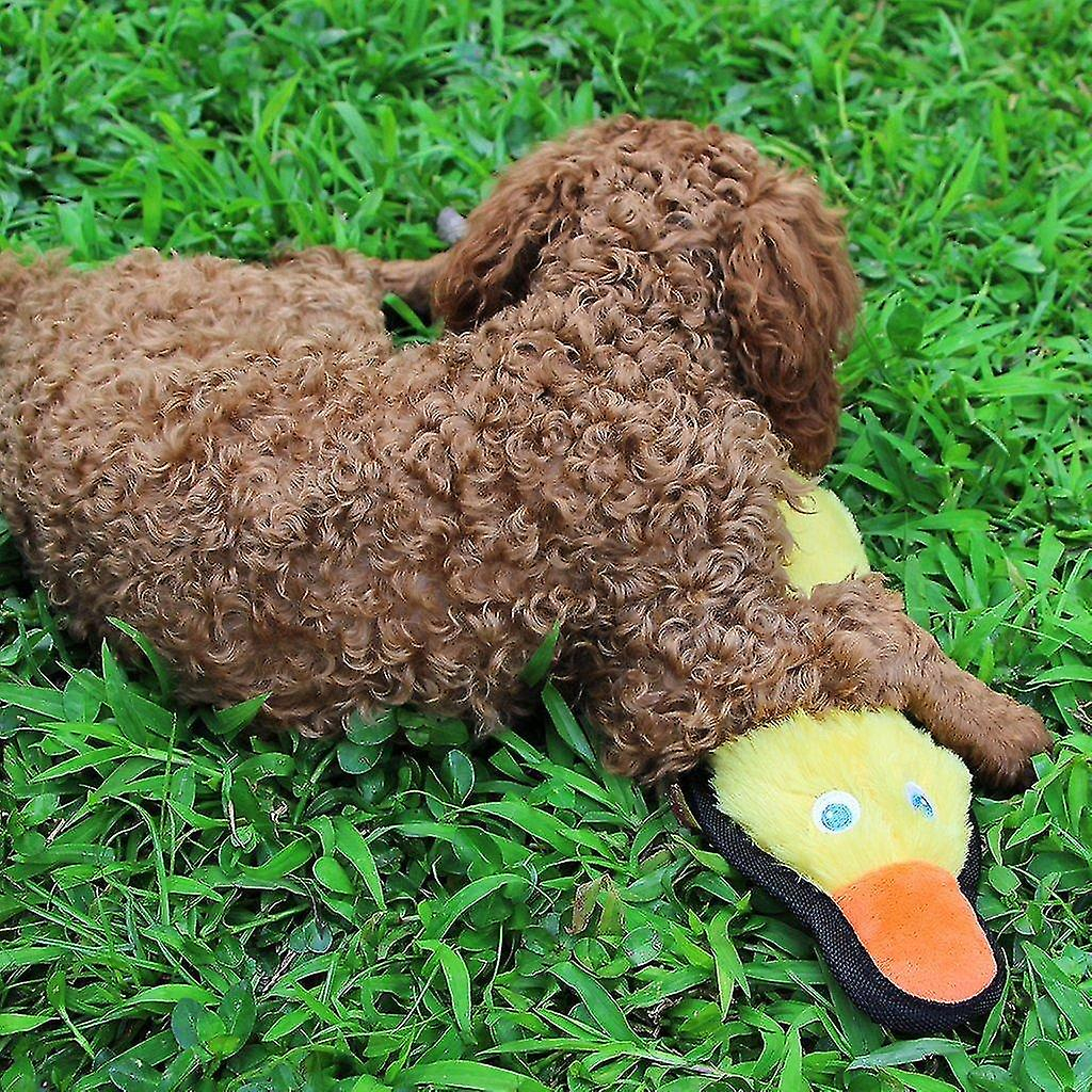 Foto 5 pulgar | Juguete Para Perros Huoguo, Duradero, De Peluche, Con Forma De Pato Chillón, Amarillo, Navideño - Venta Internacional.