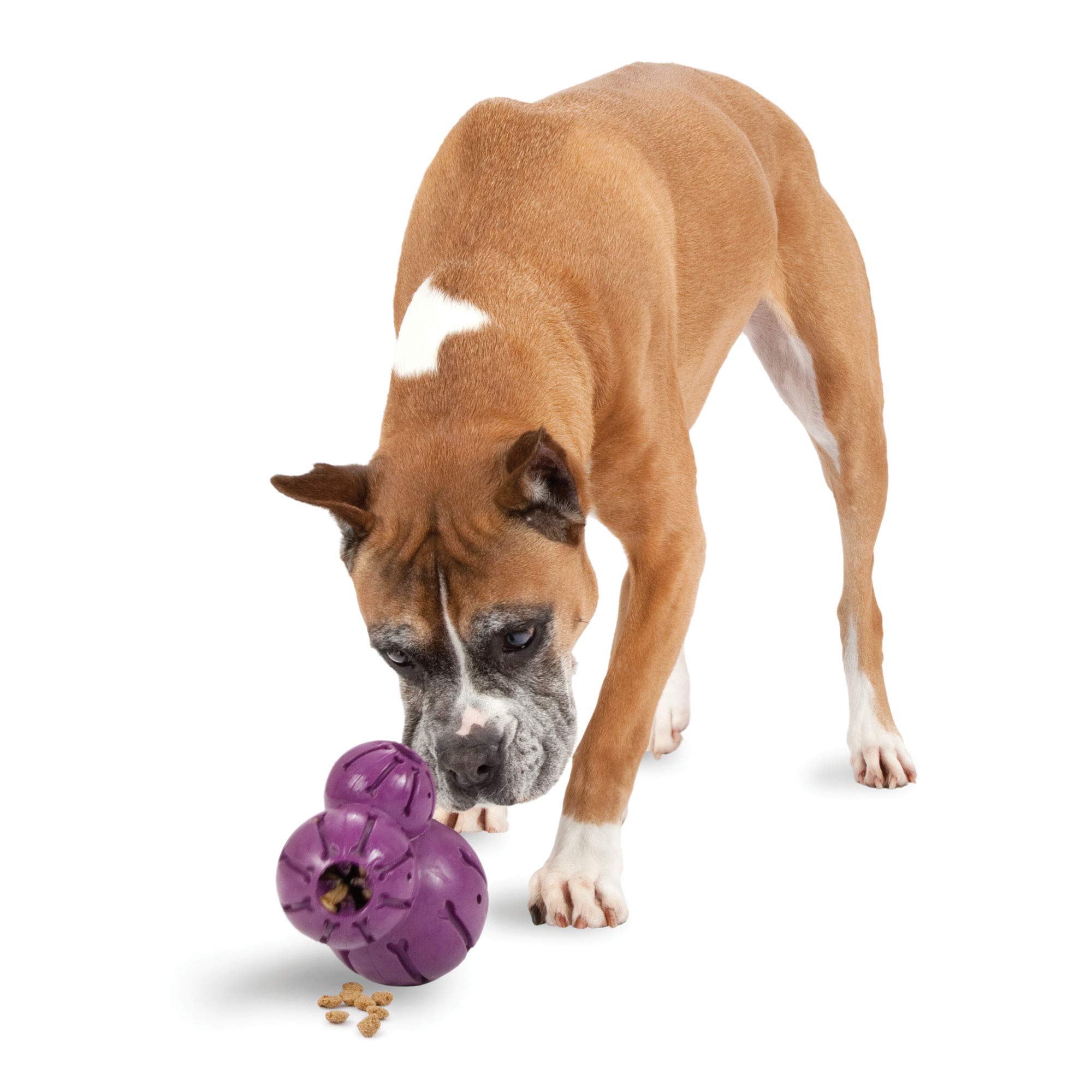 Foto 2 pulgar | Dispensador De Golosinas Petsafe Busy Buddy, Juguete Masticable Para Perros - Venta Internacional.