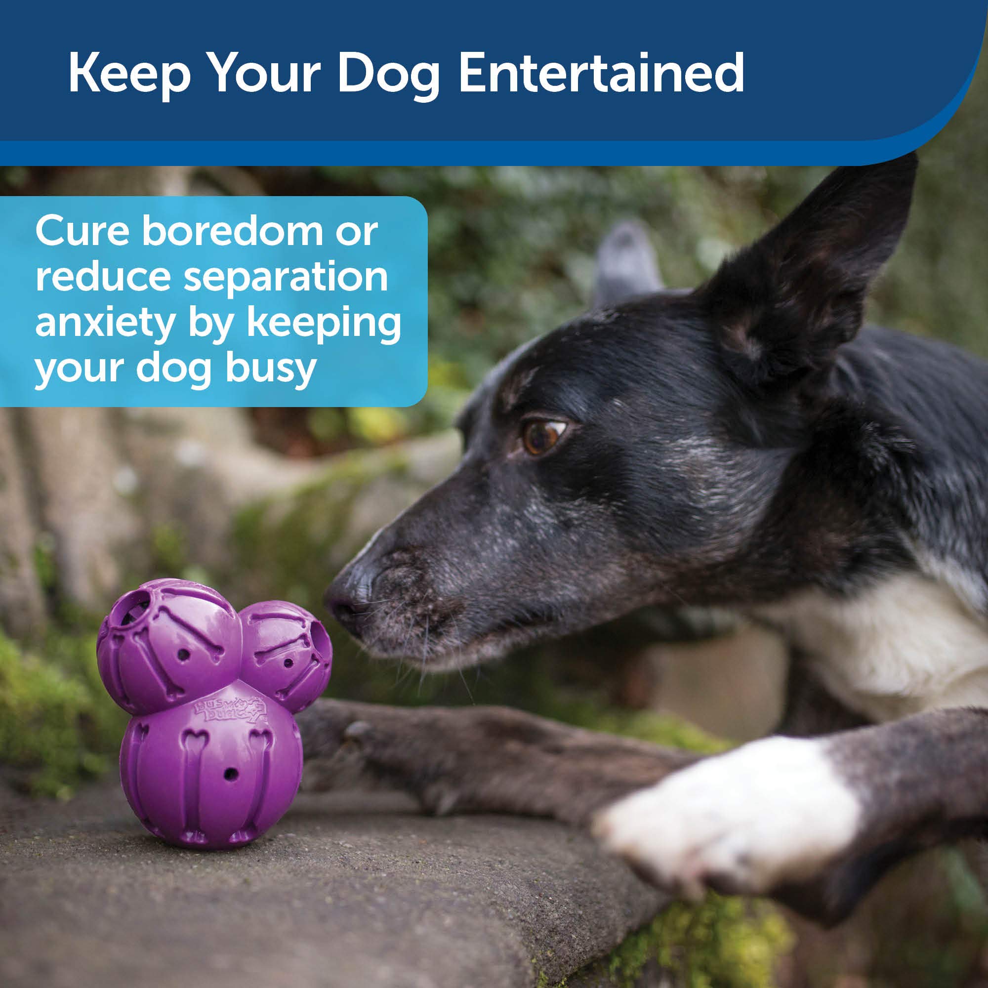 Foto 5 pulgar | Dispensador De Golosinas Petsafe Busy Buddy, Juguete Masticable Para Perros - Venta Internacional.