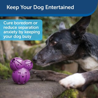 Foto 4 | Dispensador De Golosinas Petsafe Busy Buddy, Juguete Masticable Para Perros - Venta Internacional.