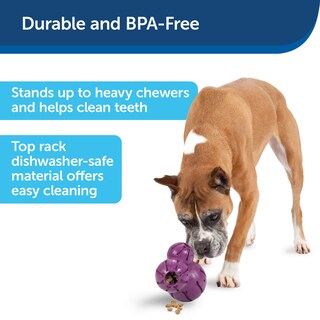 Foto 5 | Dispensador De Golosinas Petsafe Busy Buddy, Juguete Masticable Para Perros - Venta Internacional.