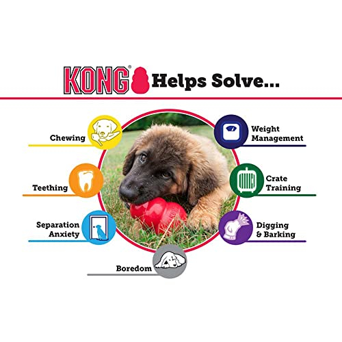Foto 7 pulgar | Dog Toy Kong Senior De Goma Natural Suave Para Perros Medianos - Venta Internacional.