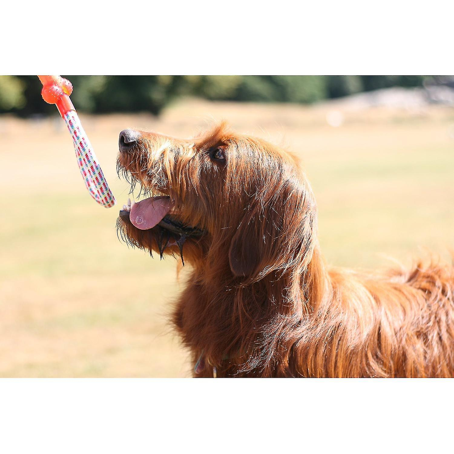 Foto 5 | Dog Toys Huoguo, Paquete De 10 Unidades Para Perros Grandes, Juguetes Duraderos Para Masticar - Venta Internacional.