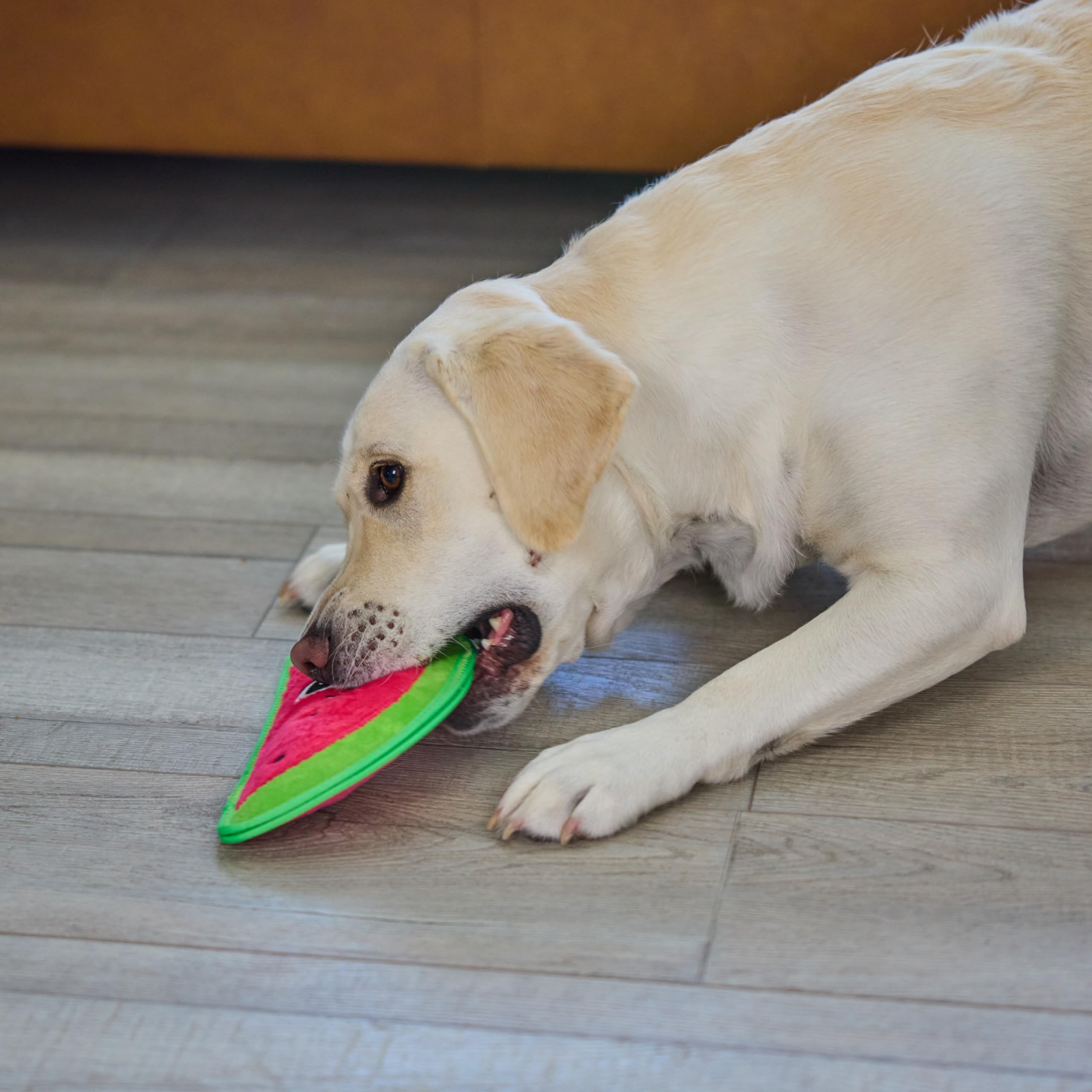 Foto 7 pulgar | Juguete Para Perros Outward Hound Tough Skinz Durable Skinz Sandía - Venta Internacional.