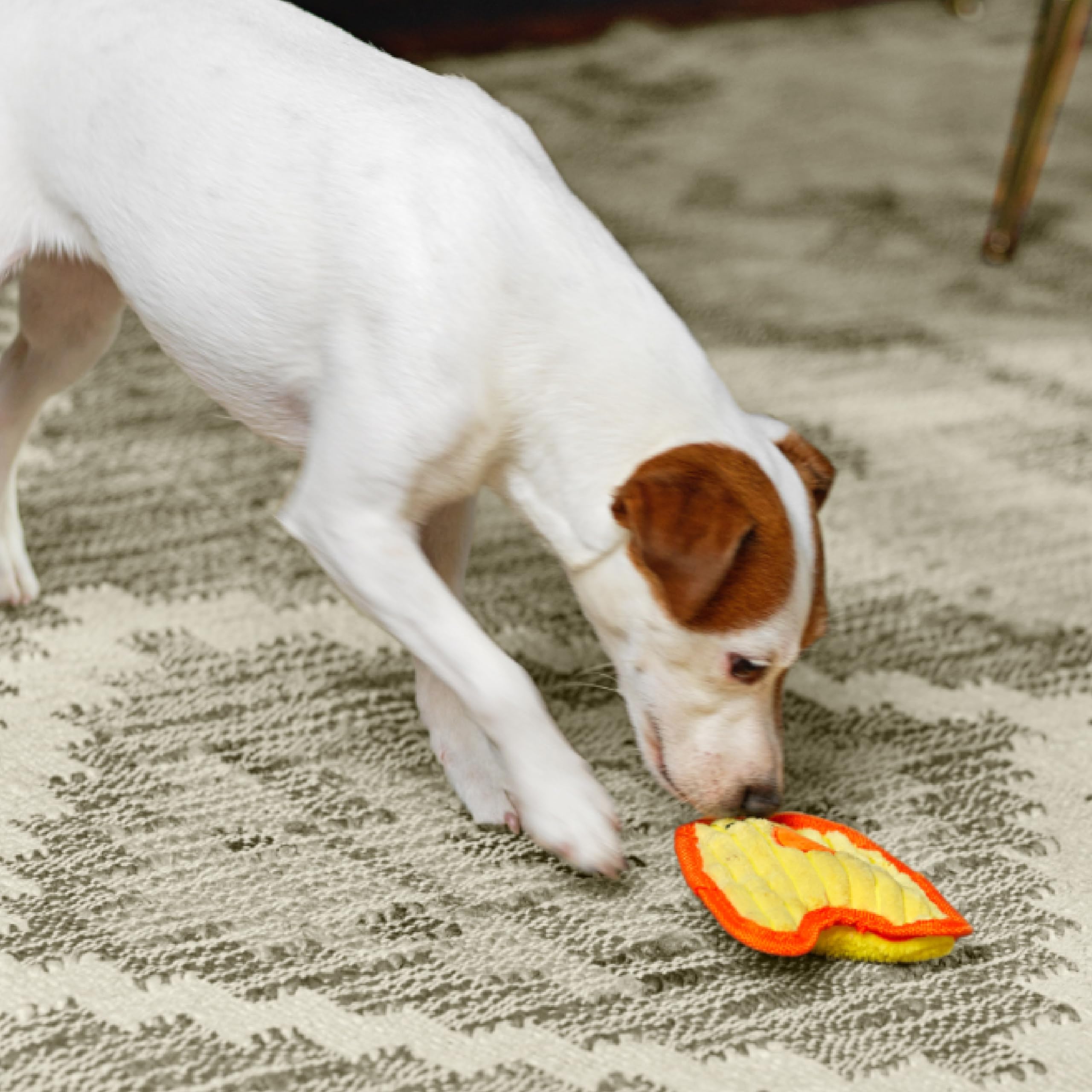 Foto 6 pulgar | Juguete Para Perros Outward Hound Durablez Tough Plush Chicken Xs - Venta Internacional.