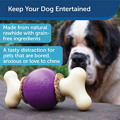 Foto 3 pulgar | Juguete Para Perros Petsafe Busy Buddy Bouncy Bone Con Anillos Para Golosinas, Color Morado - Venta Internacional.
