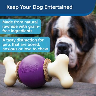 Foto 2 | Toy Petsafe Busy Buddy Bouncy Bone Para Perros, Color Morado, Pequeño - Venta Internacional.