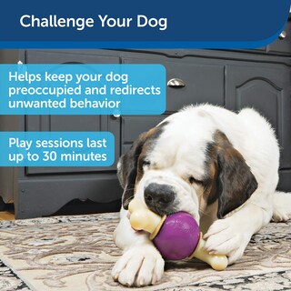 Foto 4 | Toy Petsafe Busy Buddy Bouncy Bone Para Perros, Color Morado, Pequeño - Venta Internacional.