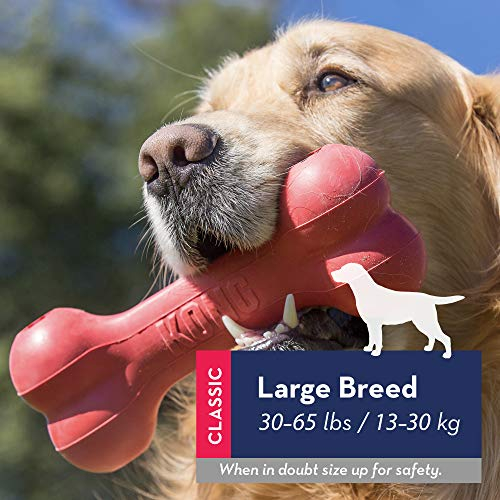 Foto 3 pulgar | Toy Kong Goodie Bone And Flyer Para Perros Grandes - Venta Internacional.