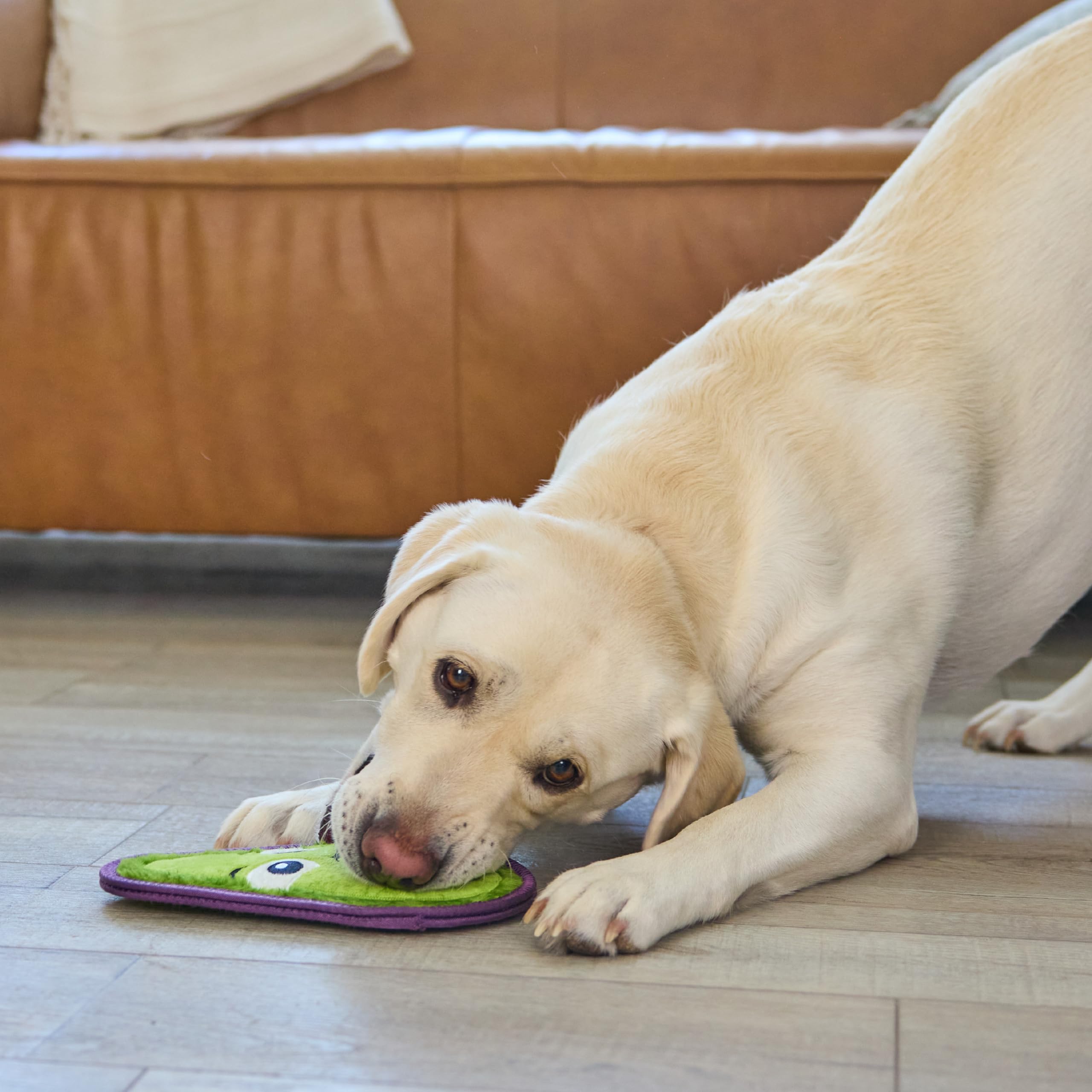 Foto 7 pulgar | Juguete Para Perros Outward Hound Tough Skinz Durable Squeaky Avocado - Venta Internacional.