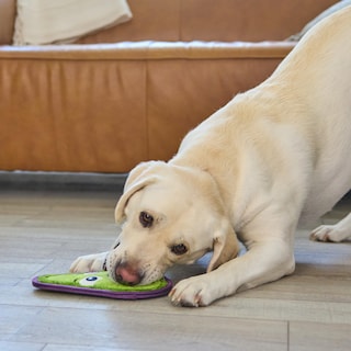 Foto 6 | Juguete Para Perros Outward Hound Tough Skinz Durable Squeaky Avocado - Venta Internacional.