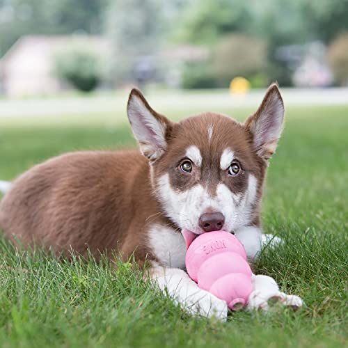 Foto 7 | Goma De Dentición Toy Kong Para Cachorros Extrapequeños, Color Rosa - Venta Internacional.