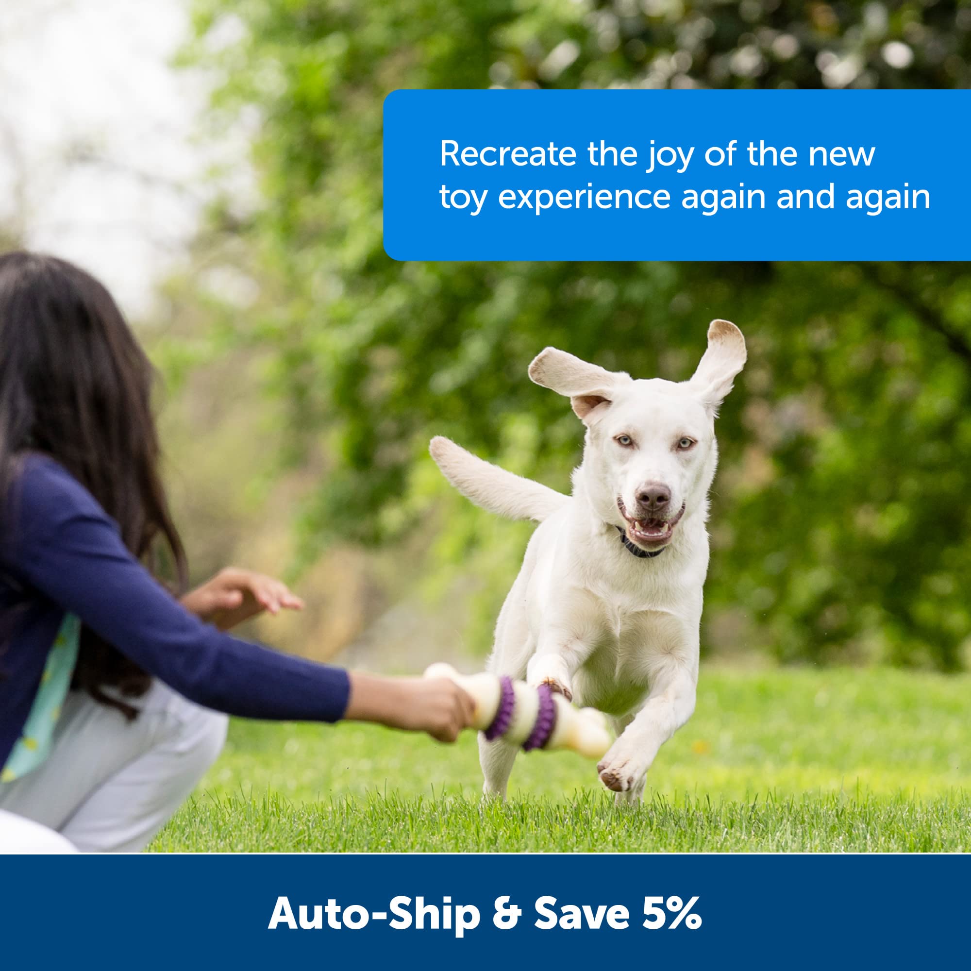 Foto 7 pulgar | Anillos De Cuero Sin Curtir Para Juguetes Para Perros Busy Buddy Petsafe, 16 Anillos - Venta Internacional.