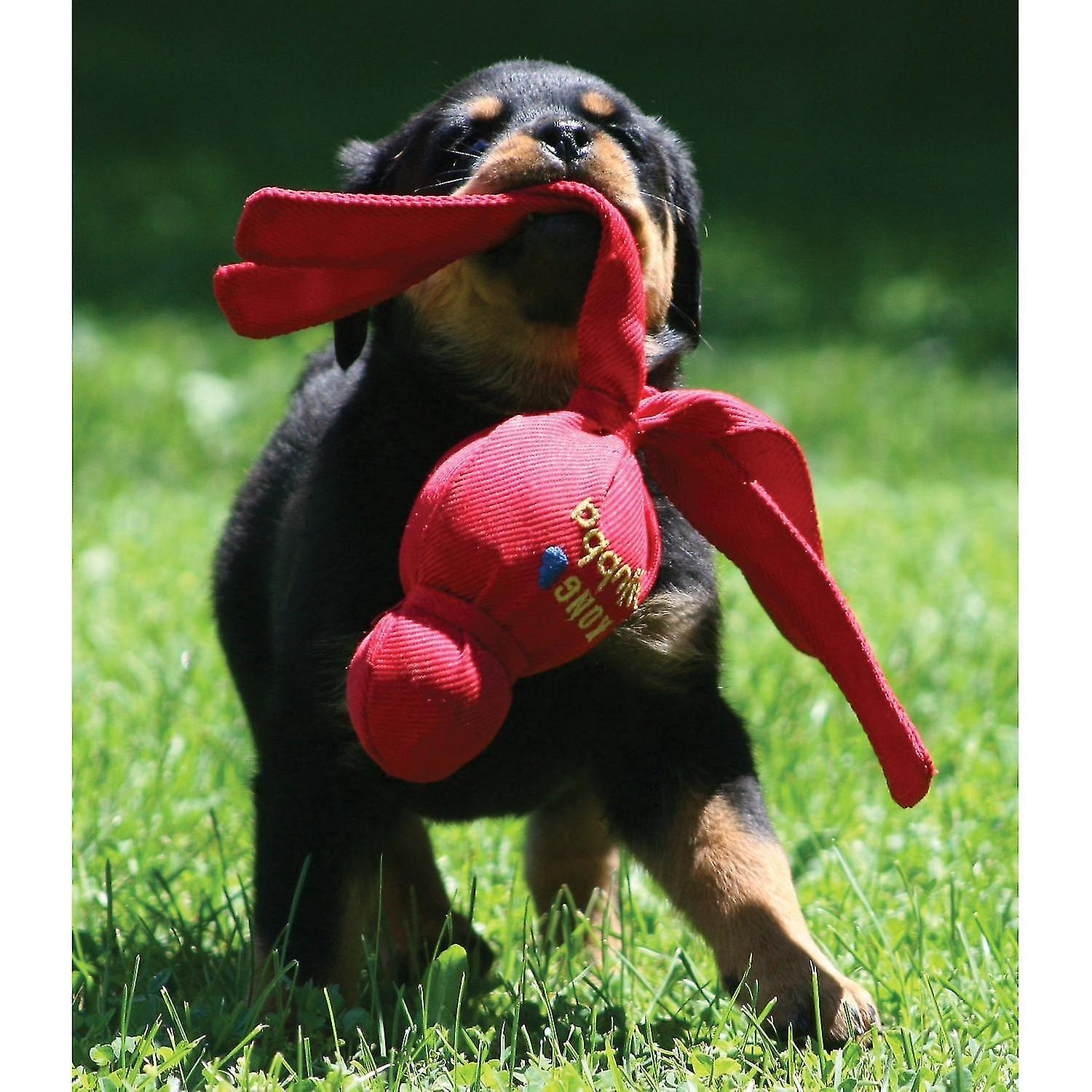 Foto 4 pulgar | Juguete Para Perros Huoguo Wubba, Tamaño Pequeño, Varios Colores - Venta Internacional.