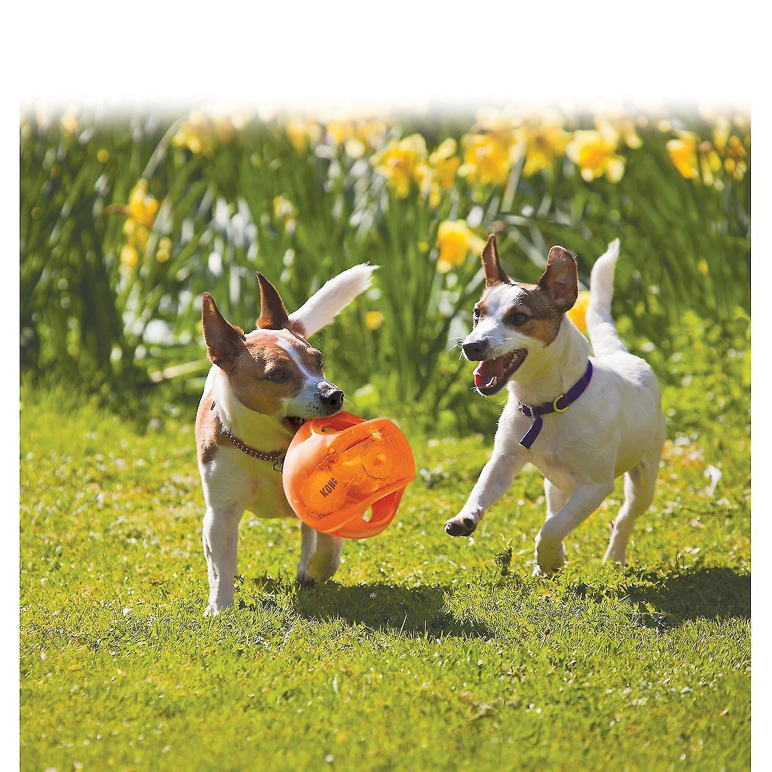 Foto 4 pulgar | Pelota De Juguete Para Perros, Tamaño Mediano/grande, Varios Colores - Venta Internacional.