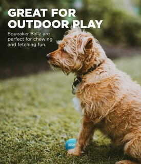 Foto 4 | Juguete Para Perros Outward Hound Squeaker Ballz Fetch, Talla Xs, Paquete De 4 - Venta Internacional.