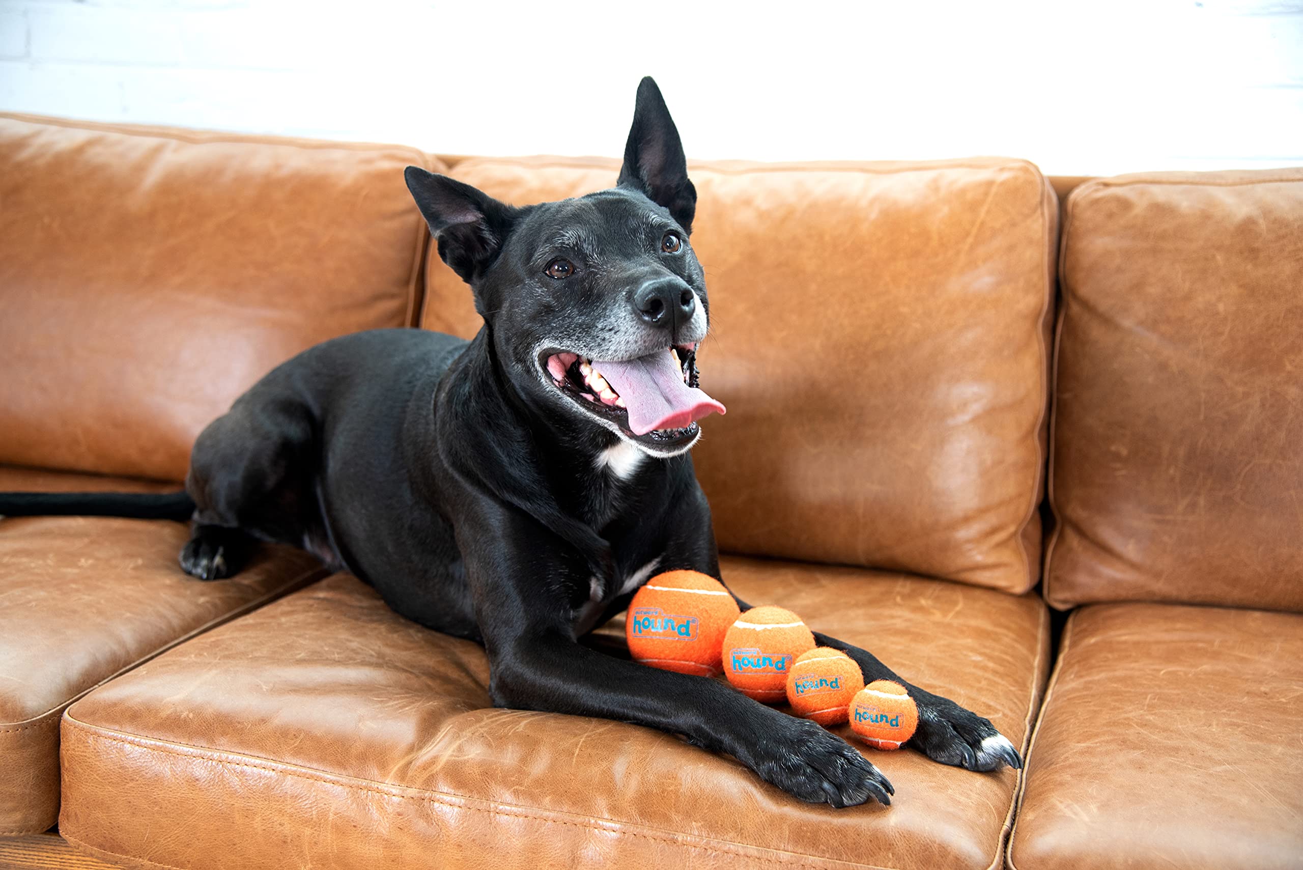 Foto 8 pulgar | Juguete Para Perros Outward Hound Squeaker Ballz Fetch, Talla Xs, Paquete De 4 - Venta Internacional.