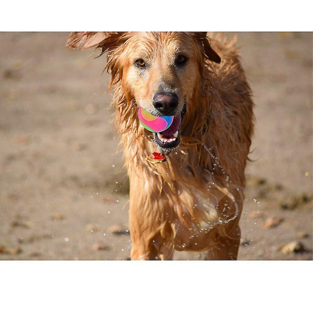 Foto 4 | Pelotas Para Perros Huoguo De Dog Toys, Iluminadas, Elásticas, Parpadeantes, 2 Unidades - Venta Internacional.