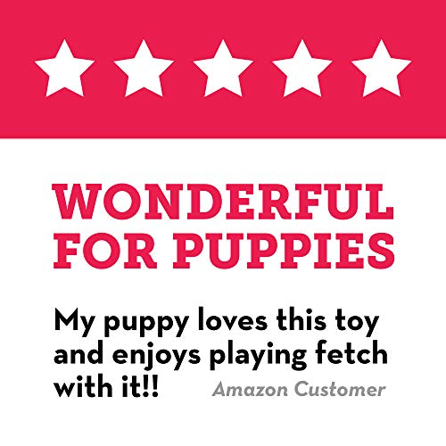 Foto 8 pulgar | Flying Disc Dog Toy Kong Puppy Flyer Para Cachorros Pequeños - Venta Internacional.