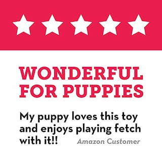 Foto 7 | Flying Disc Dog Toy Kong Puppy Flyer Para Cachorros Pequeños - Venta Internacional.