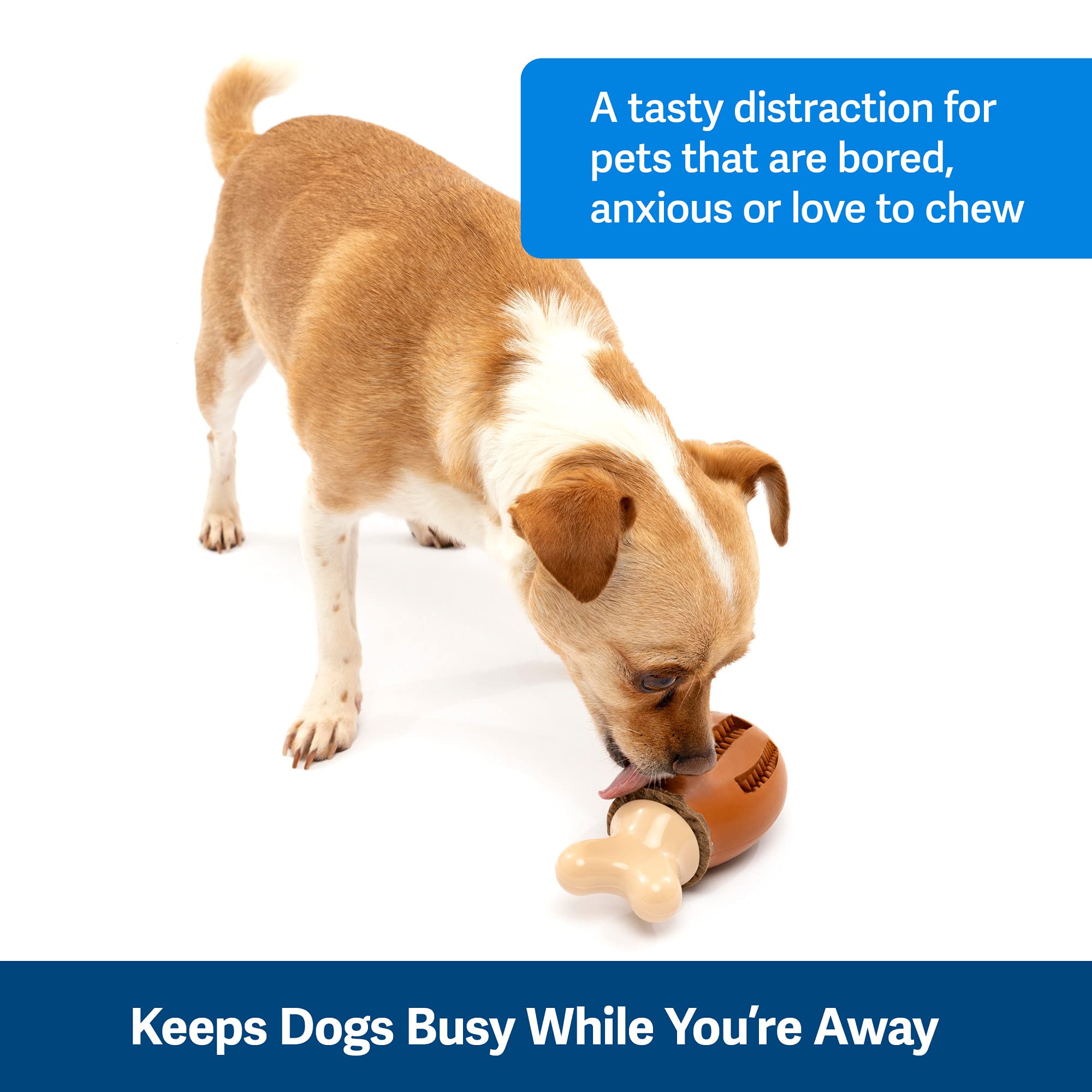 Foto 3 pulgar | Juguete Para Perros Petsafe Busy Buddy Chompin' Chicken Treat - Venta Internacional.