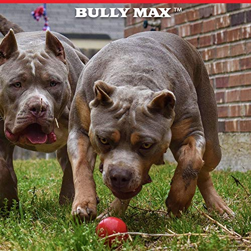 Foto 4 pulgar | Juguete Masticable Bully Max De Larga Duración Para Perros Masticadores Agresivos - Venta Internacional.