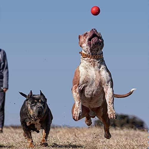 Foto 5 pulgar | Juguete Masticable Bully Max De Larga Duración Para Perros Masticadores Agresivos - Venta Internacional.