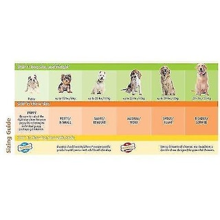 Foto 3 | Juguete Para Perros Huoguo Puppy Bone Souper Para Cachorros En Proceso De Dentición - Venta Internacional.