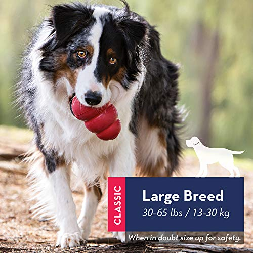 Foto 3 pulgar | Juguete Masticable Kong Classic Y Wild Knots Bear Para Perros Grandes - Venta Internacional.