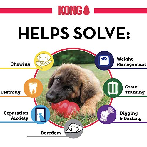 Foto 6 pulgar | Juguete Masticable Kong Classic Y Wild Knots Bear Para Perros Grandes - Venta Internacional.