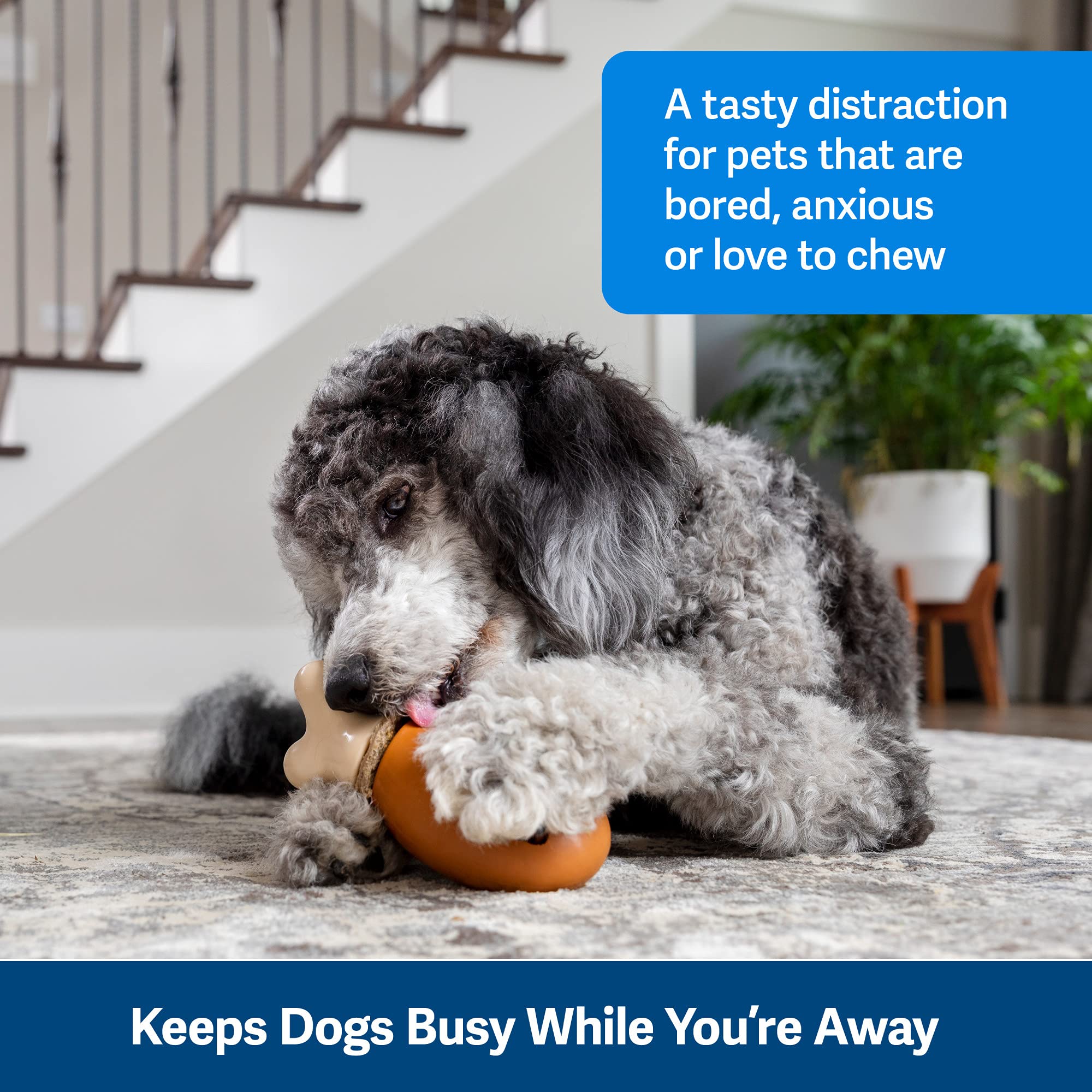 Foto 3 pulgar | Juguete Para Perros Petsafe Busy Buddy Chompin' Chicken Treat - Venta Internacional.