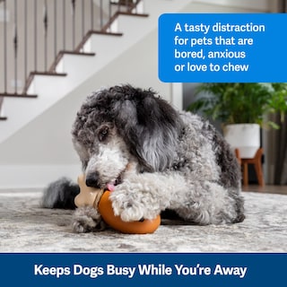 Foto 2 | Juguete Para Perros Petsafe Busy Buddy Chompin' Chicken Treat - Venta Internacional.