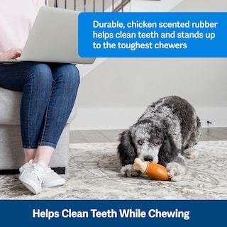 Foto 3 | Juguete Para Perros Petsafe Busy Buddy Chompin' Chicken Treat - Venta Internacional.