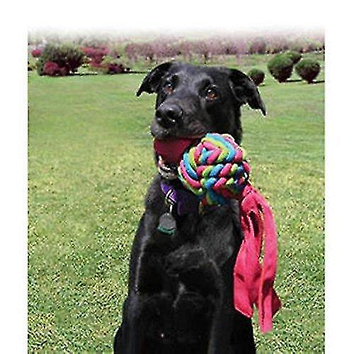Foto 3 pulgar | Juguete Para Perros Huoguo Wubba Weaves Small Para Limpiar Los Dientes - Venta Internacional.