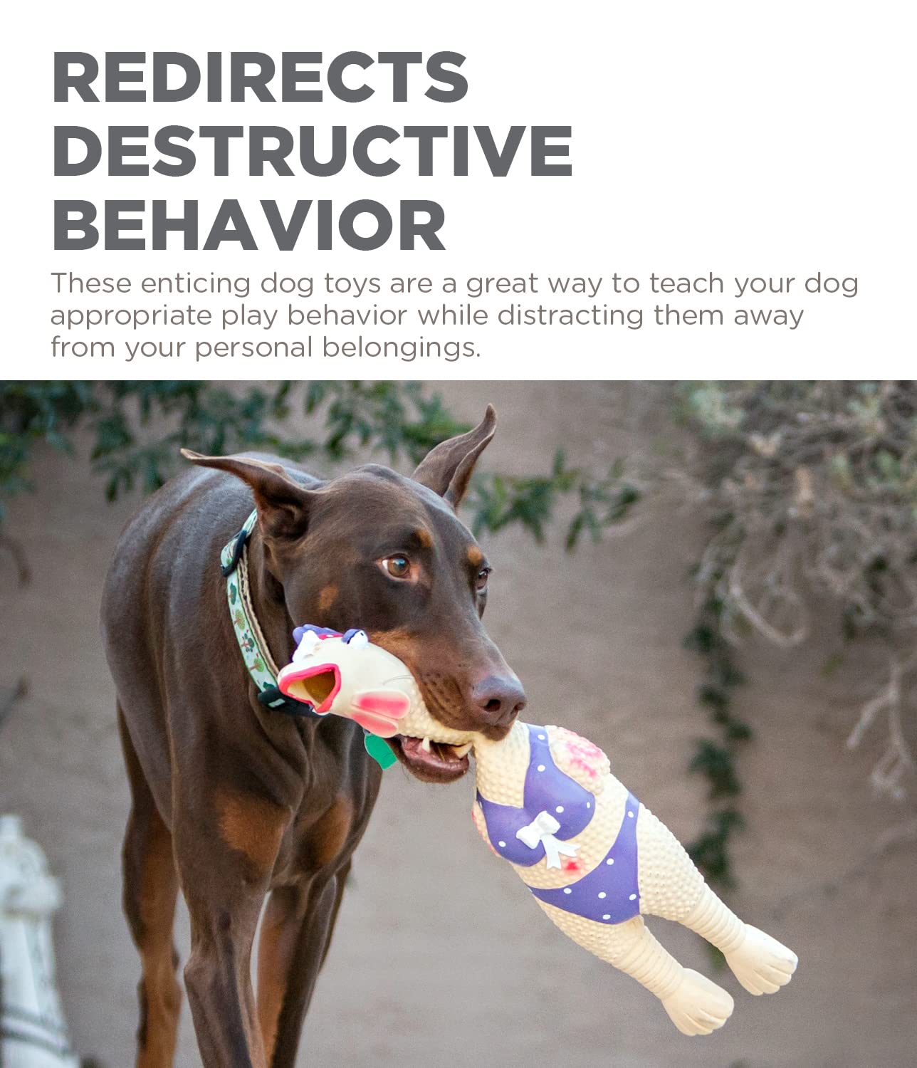 Foto 5 pulgar | Juguete Interactivo Para Perros Outward Hound Charming Pet Squawkers - Venta Internacional.