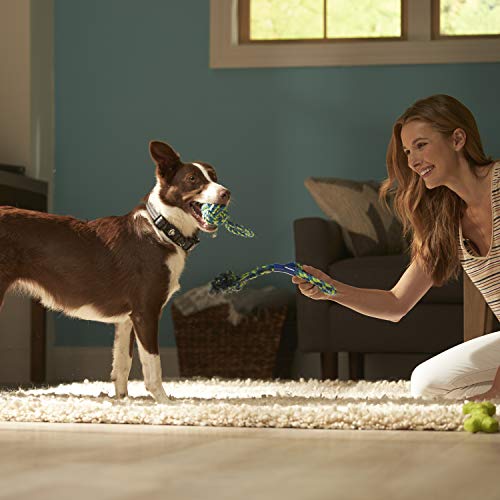 Foto 7 pulgar | Juego De Cuerdas Para Perros Franklin Pet Supply, Paquete De 3, Para Cachorros Y Perros - Venta Internacional.