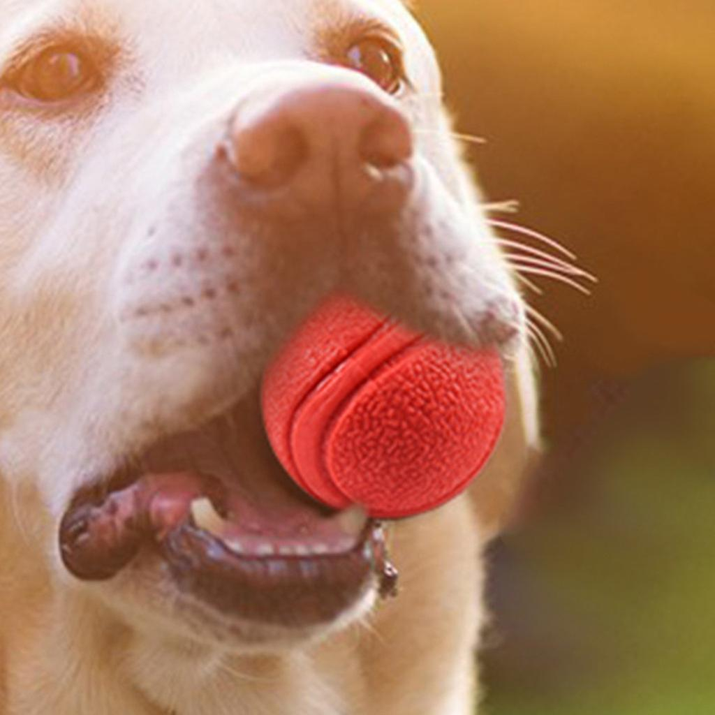 Foto 3 pulgar | Pelota De Goma Para Mascotas, Juguetes Para Entrenamiento, Masticar, Jugar, Buscar Y Morder - Venta Internacional.