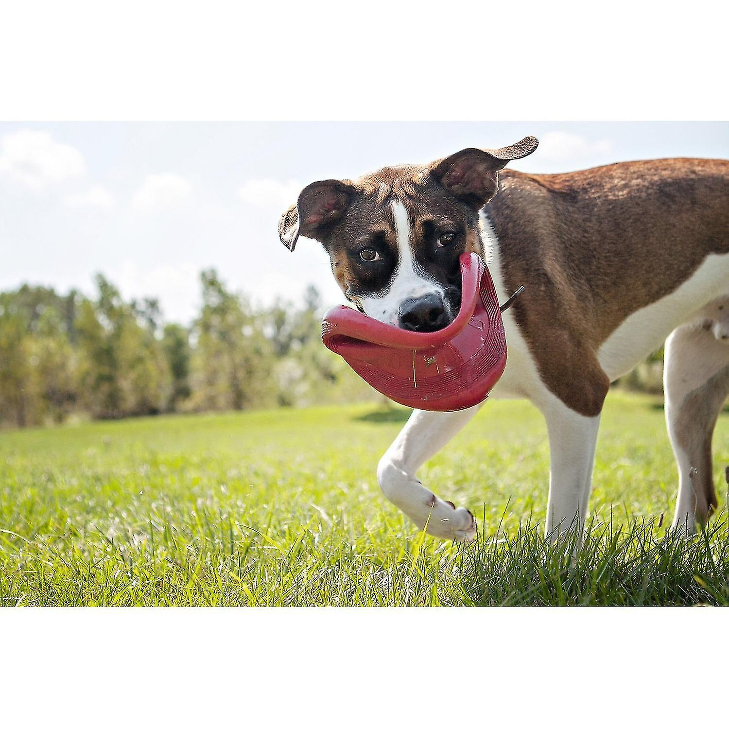 Foto 5 pulgar | Folleto De Juguete Para Perros, Tamaño Pequeño, Rojo, De Huoguo - Venta Internacional.