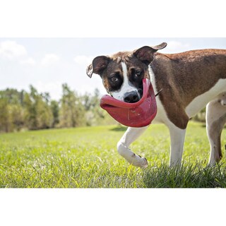 Foto 4 | Folleto De Juguete Para Perros, Tamaño Pequeño, Rojo, De Huoguo - Venta Internacional.