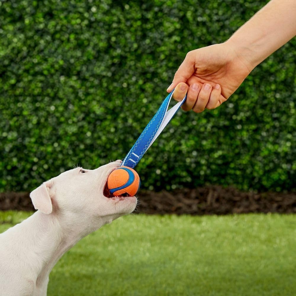 Foto 3 | Juguete Para Perros Chuckit Ultra Tug Para Perros De 0 A 9 Kg Con Pelota Adjunta - Venta Internacional.