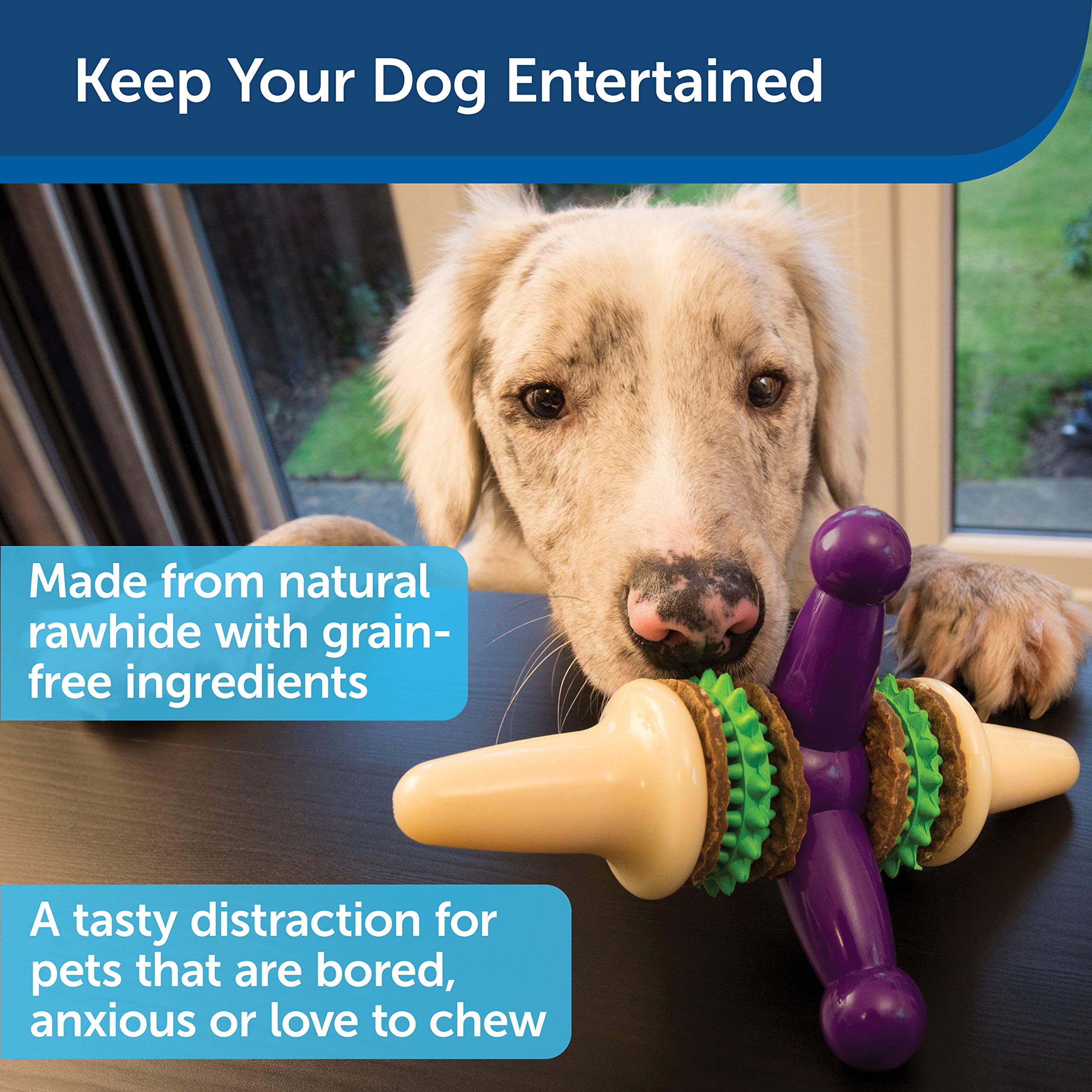 Foto 3 pulgar | Juguete Para Perros Petsafe Busy Buddy Treat Holding Jack Para Perros Pequeños - Venta Internacional.