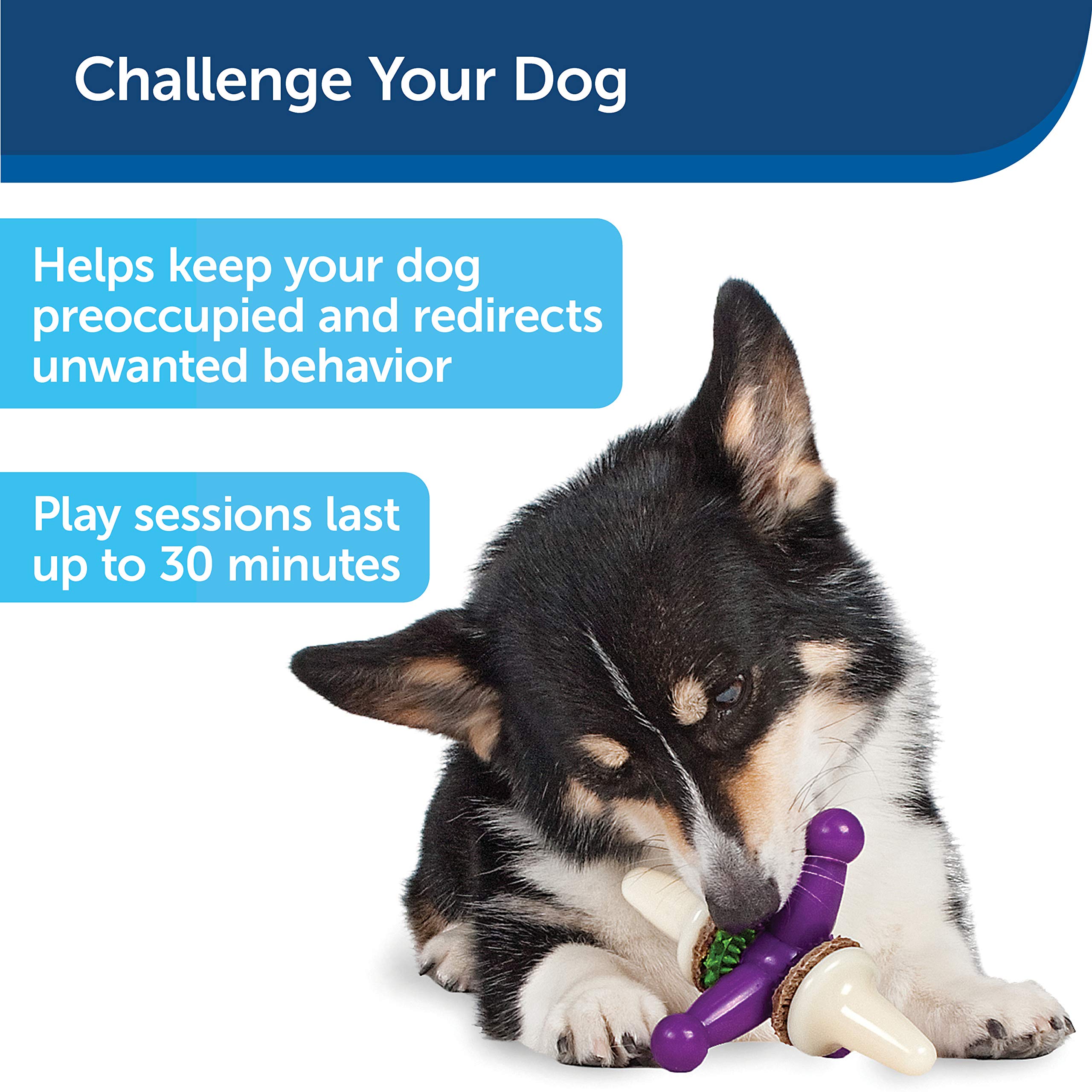 Foto 5 pulgar | Juguete Para Perros Petsafe Busy Buddy Treat Holding Jack Para Perros Pequeños - Venta Internacional.